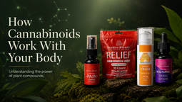 How Cannabinoids Work With Your Body’s Pain-Response System