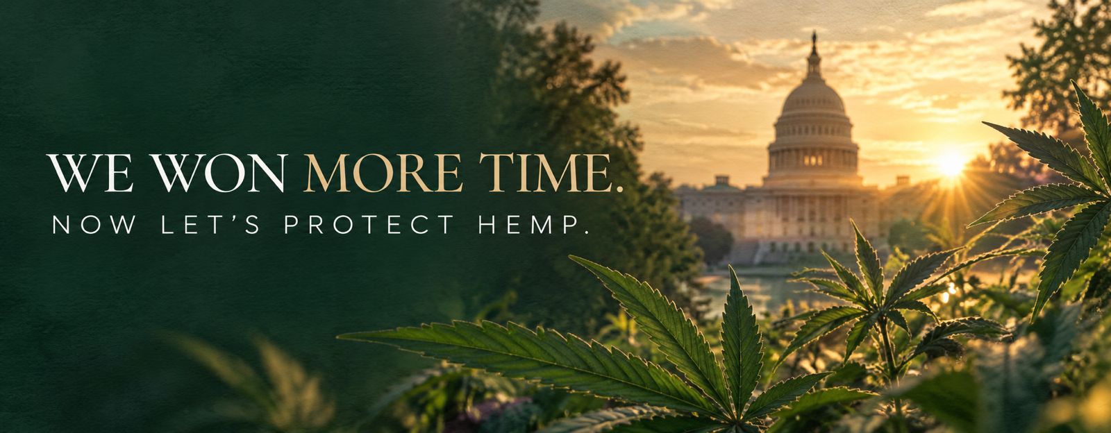 Hemp Won 30 More Days. Now Congress Needs to Hear From Us.