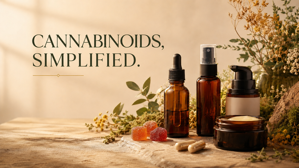 Cannabinoids 101: A Beginner’s Guide to CBD, THC and More