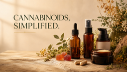 Cannabinoids 101: A Beginner’s Guide to CBD, THC and More