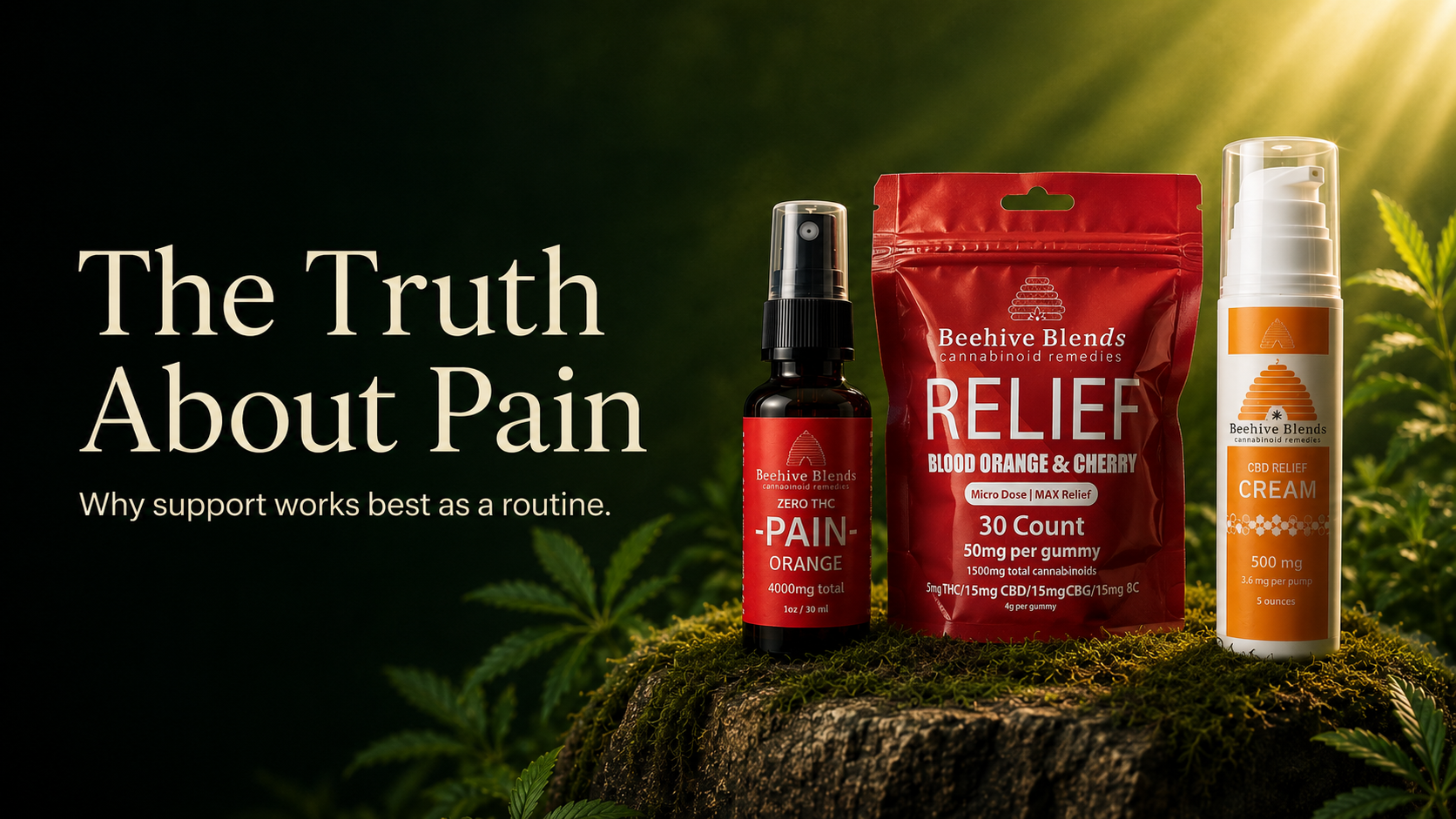 The Truth About Pain: Why Support Works Best as a Routine