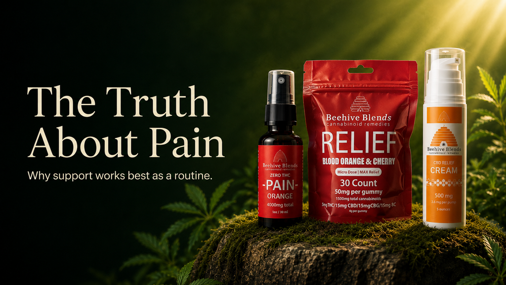 The Truth About Pain: Why Support Works Best as a Routine