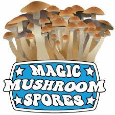 Lord of Spores Magic Mushrooms (Assorted)