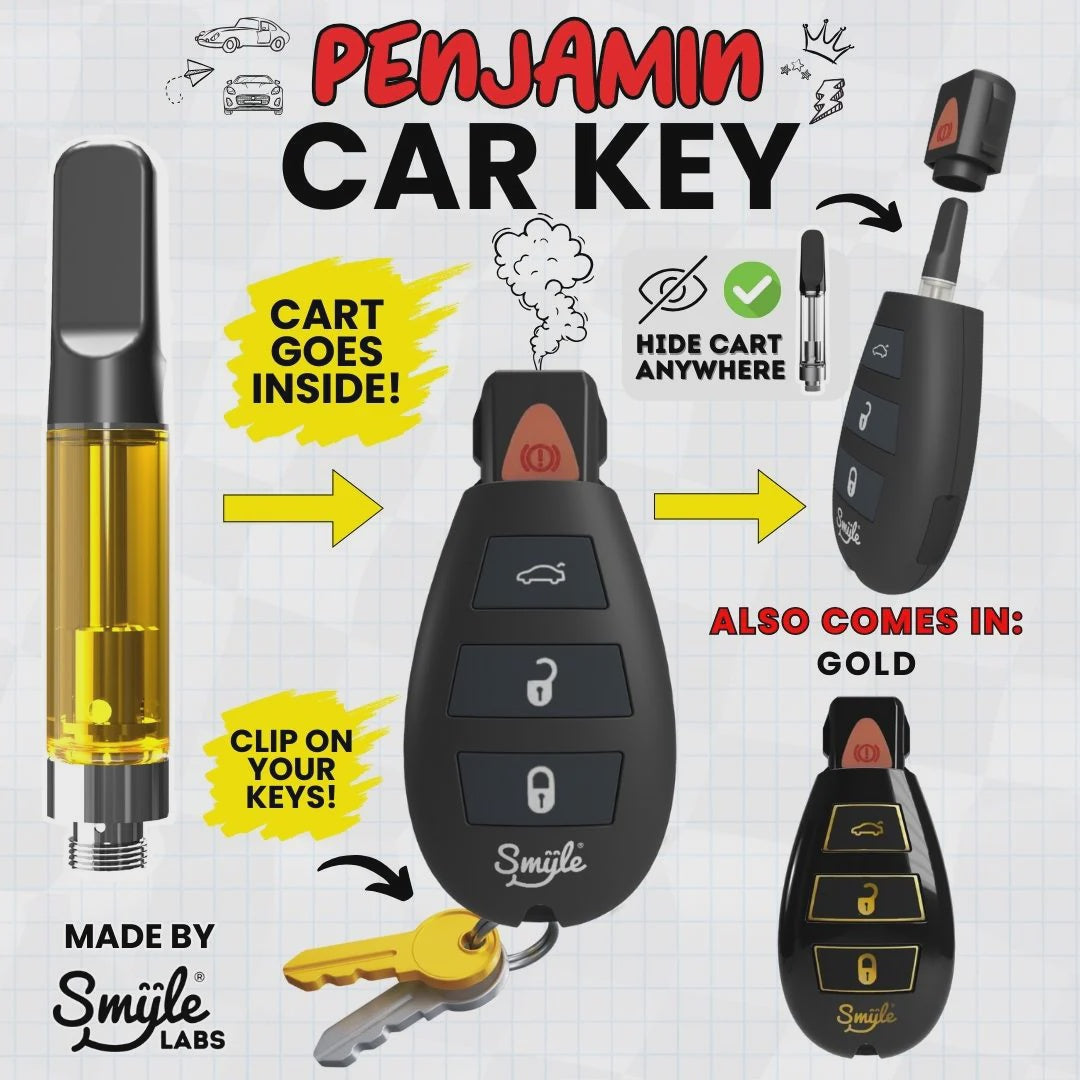 Smyle Labs Car Key Penjamin 510 Battery | The Plug Wellness