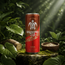 DaHonu Life Kava Drink 12fl oz