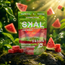 SKAL *Utah Compliant* Cannabis Gummies [30pack]