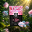 Kush Kube D9 Gummies (*Ut Compliant) [20pc/100mg BAG]