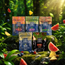 Kush Kube THC + CBD Gummies [10pc/150mg BAG]