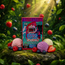 Wasatch Apothecary Baked Bytes Berry Gelato D9 Full Spectrum THC Gummies