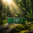 STIIIZY - 1 ¼ Size Premium Rolling Papers - Organic Hemp