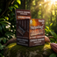 Dazed Shrumfuzed MAX Mushroom Chocolate &/or Gummie(s) [1200mg & /6ct]