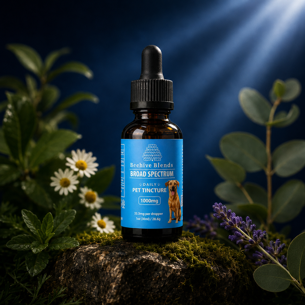 Beehive Pet Tincture 1000mg | CBD + CBG + CBN | The Plug Wellness